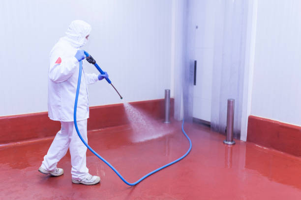 Best Playground Equipment Cleaning  in League City, TX